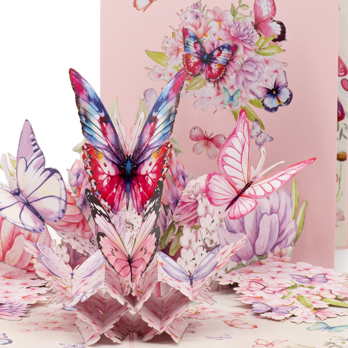 Cherry Blossom & Butterflies 3D pop-up card close-up: pink, purple and blue paper butterflies on soft blossoms, everpop