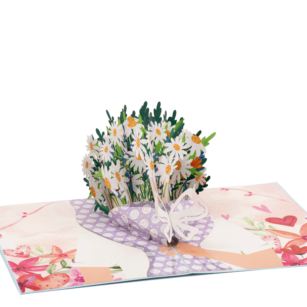 Daisy Days 3D pop-up atvirukas