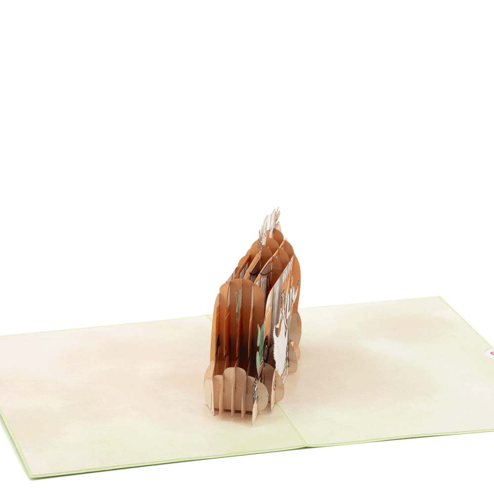 Dance With Me 3D pop-up atvirukas