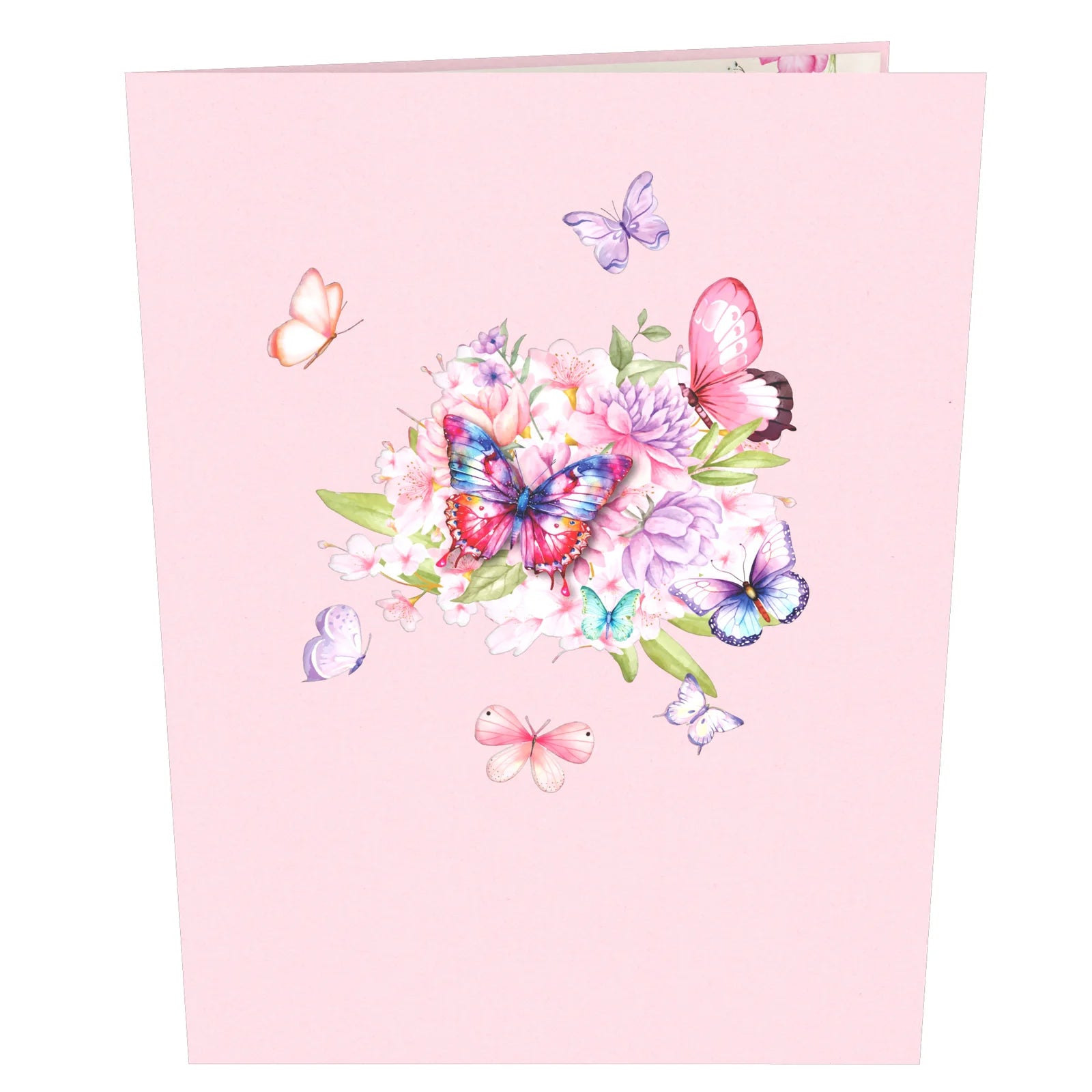 everpop 3D pop-up Cherry Blossom and Butterflies card – front cover