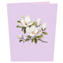 everpop 3D pop-up Magnolia Blossom card – front cover