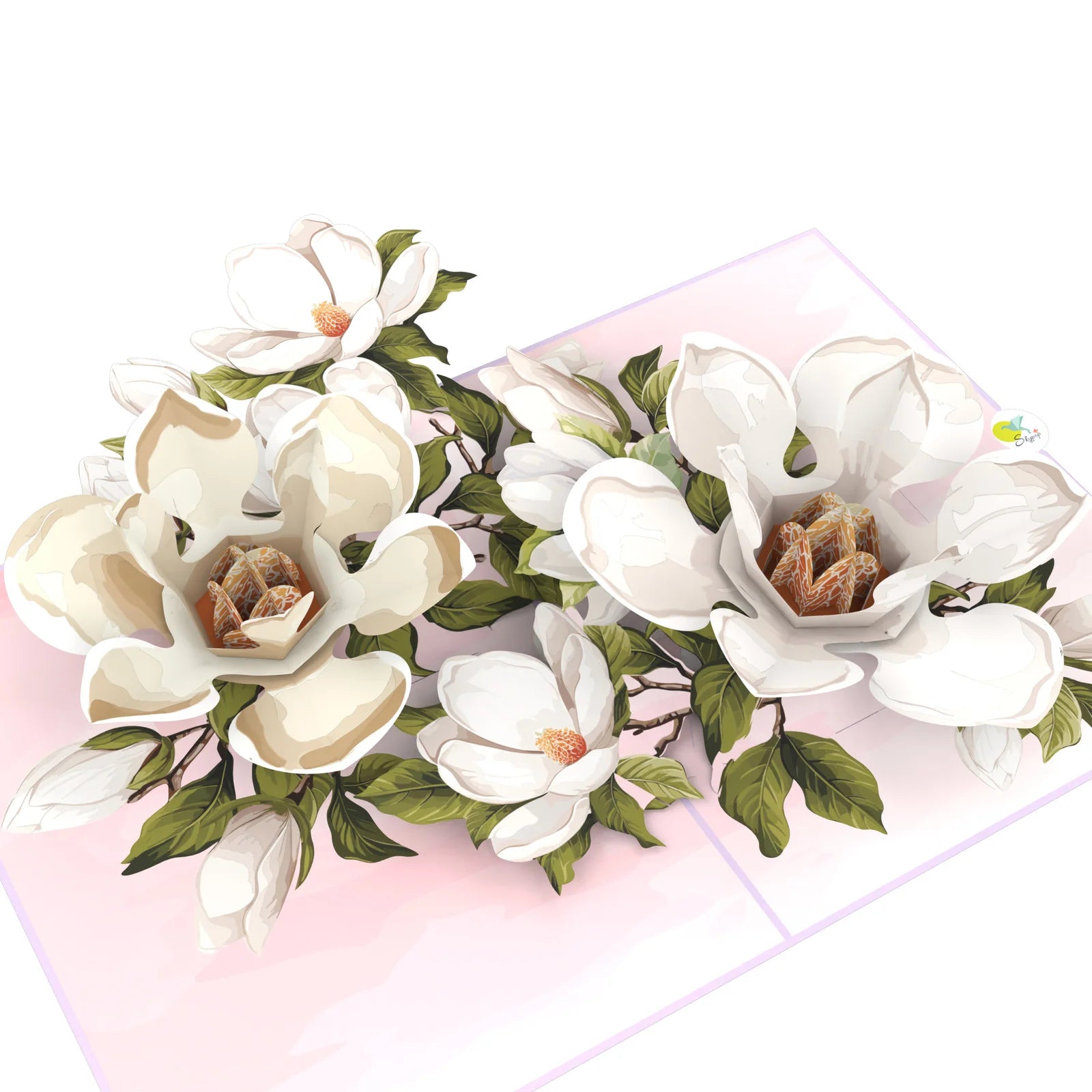 everpop 3D pop-up Magnolia Blossom card – close-up of magnolia flower pop-up