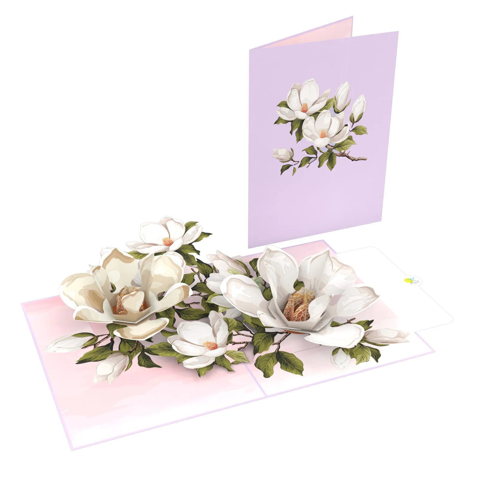everpop 3D pop-up Magnolia Blossom card – white magnolia flowers open with cover