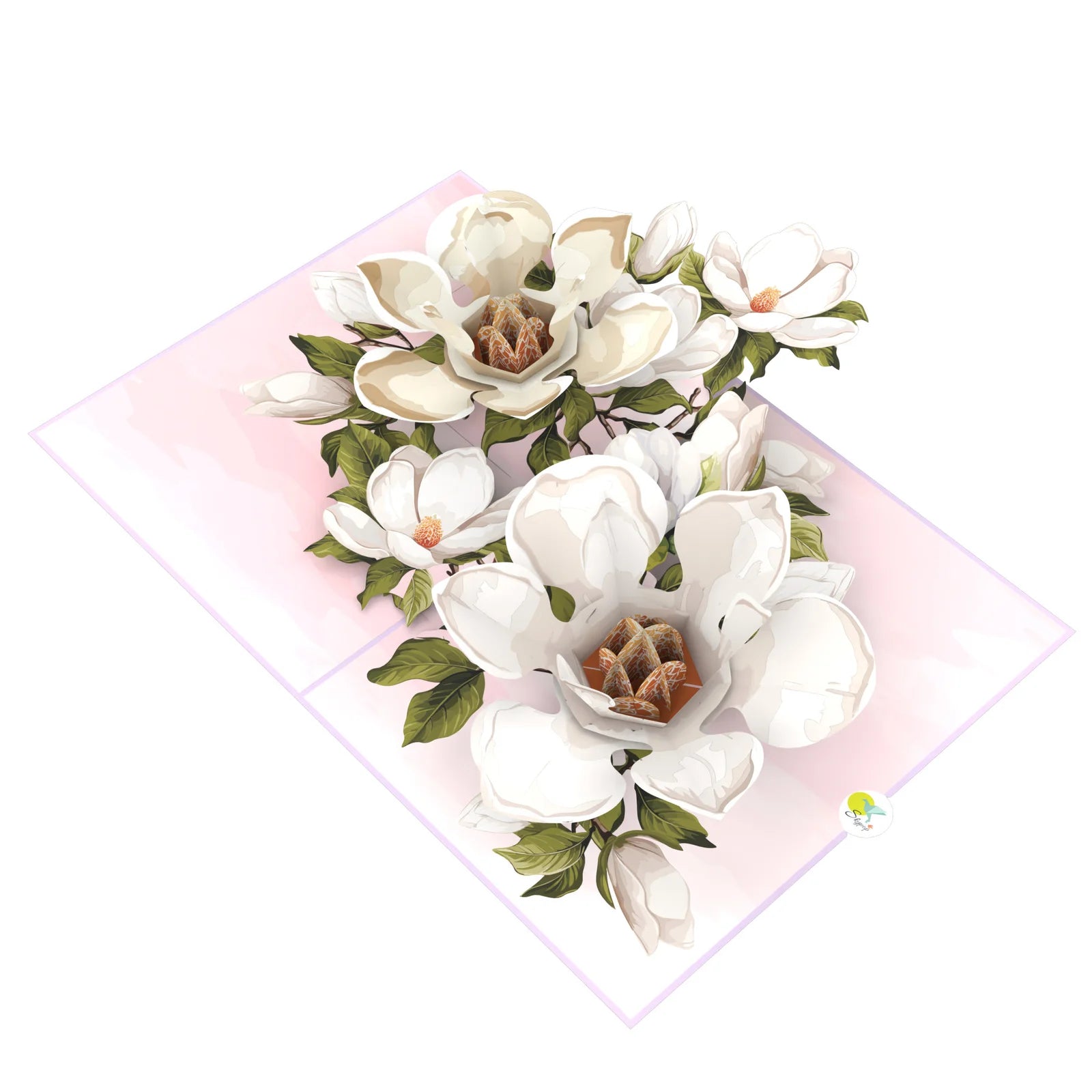 everpop 3D pop-up Magnolia Blossom card – open showing white magnolia bouquet in bloom