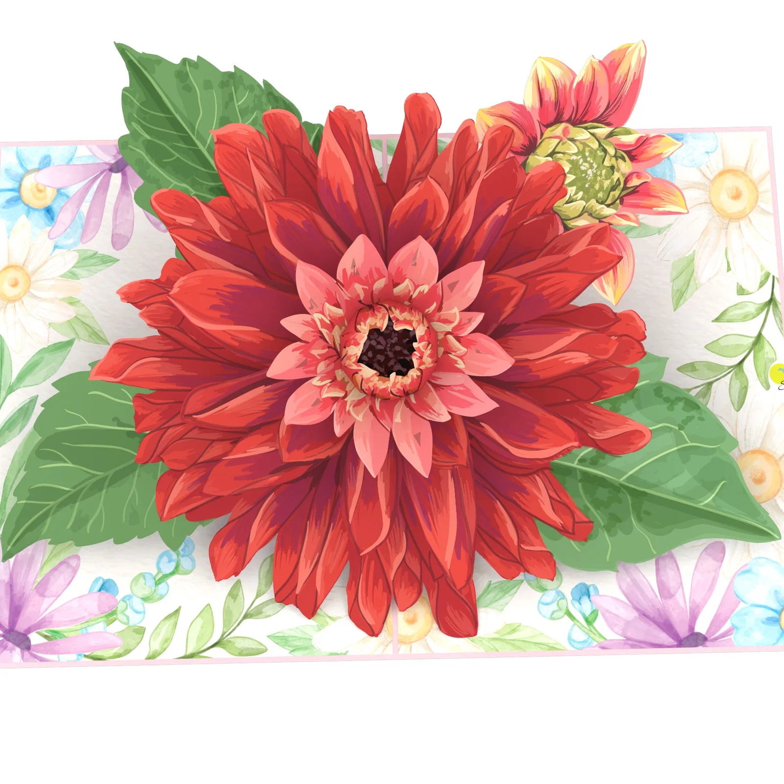 everpop 3D pop-up Spring Aster card – close-up of red aster flower pop-up