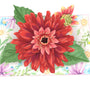 everpop 3D pop-up Spring Aster card – close-up of red aster flower pop-up