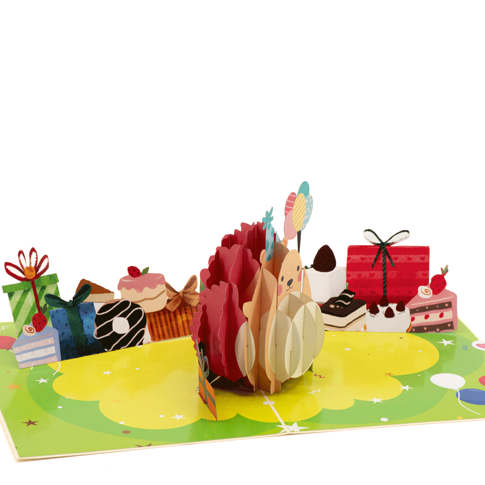 Happy Hedgehog gimtadienio 3D pop-up atvirukas