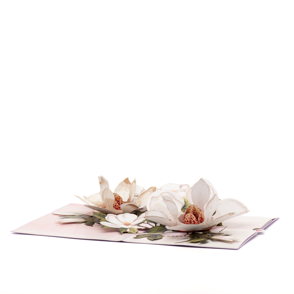 Magnolia Blossom 3D pop-up card angle view: magnolia branch pop-up across a pale pink base, everpop