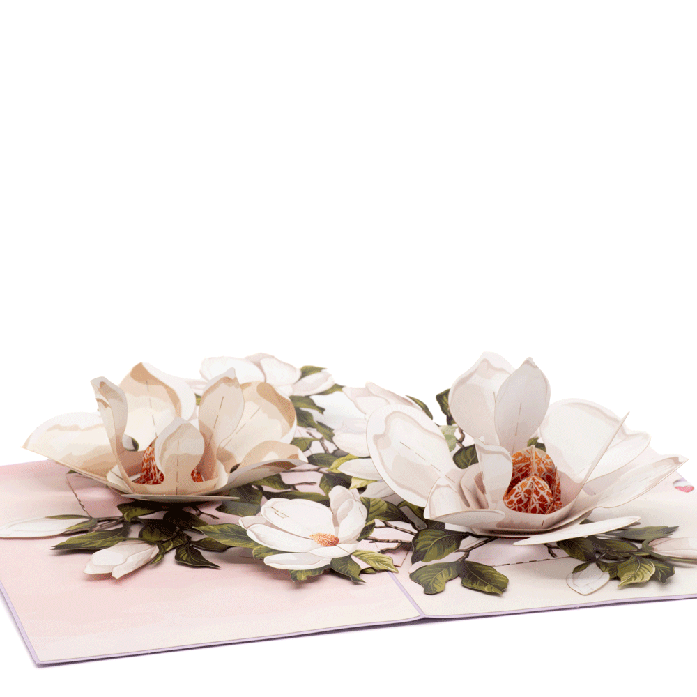 Magnolia Blossom 3D pop-up atvirukas