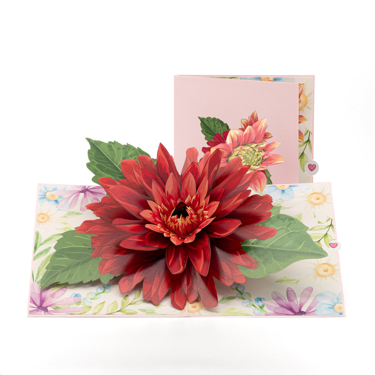 Spring Aster 3D pop-up card front view: large red aster bloom and bud, pink cover behind, everpop