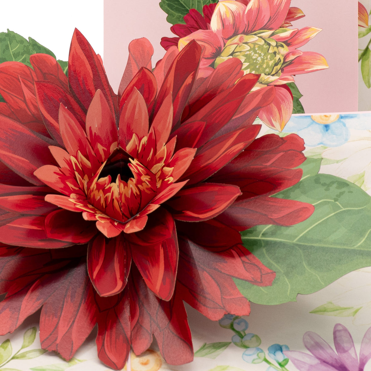 Spring Aster 3D pop-up card close-up: layered red paper petals with a dark center and leaves, everpop